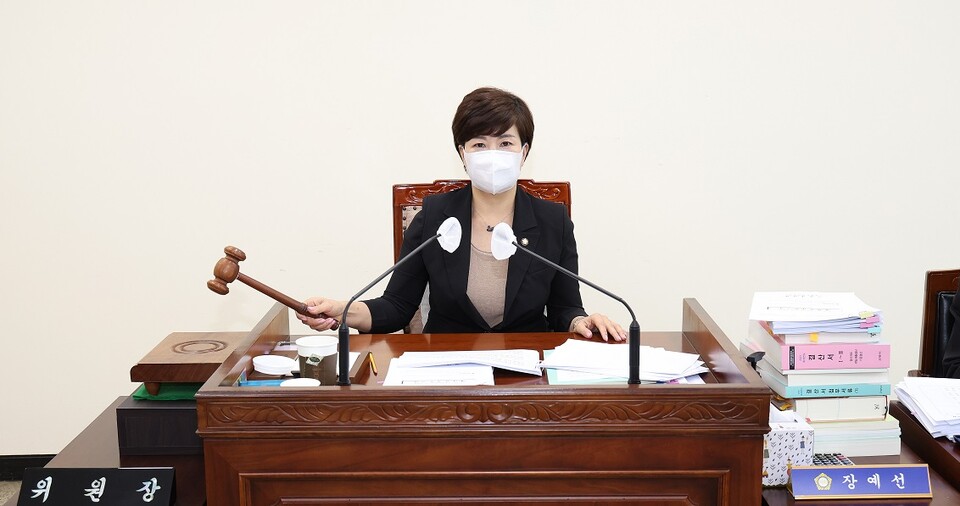 장예선예결특위 위원장이 전체회의에서 의사봉을 두드리고 있다.