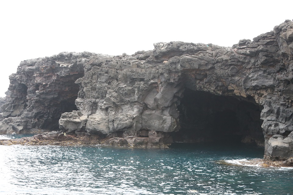가파른 절벽과 기암괴석이 조화를 이룬 해식동굴, 갯바위 낚시로도 입소문이 자자하다.