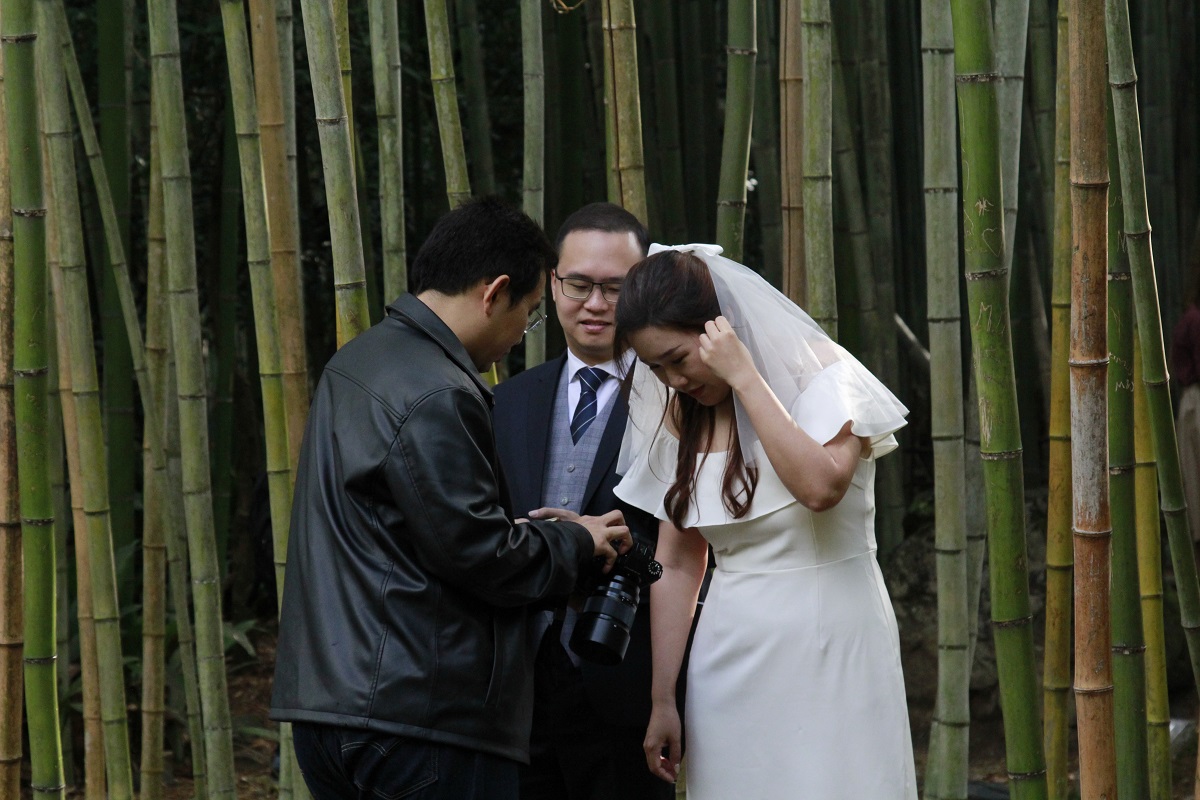 대나무숲에서 웨딩 화보를 촬영하고 있는 예비 신혼부부들 